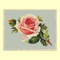 Vintage Pink Rose posters by vintagegiftmall Vintage Pink Rose posters
