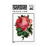 VINTAGE PINK ROSE STAMPS
