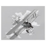 Vintage Plane Flyer