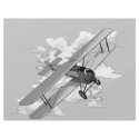 Vintage Plane flyers