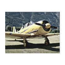 Vintage Plane from Museum Post Card