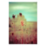 Vintage plants photographic print