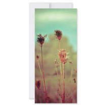 Vintage plants rack card
