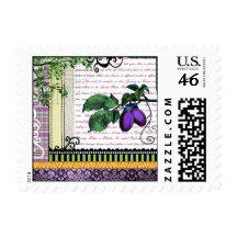 Vintage Plum fruit art postage stamp