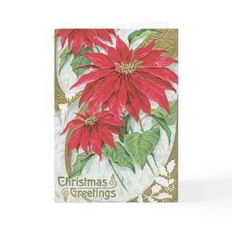 Vintage Poinsettia Illustration