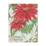 Vintage Poinsettia Illustration