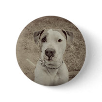 Vintage Polo buttons by knotth Vintage Polo buttons