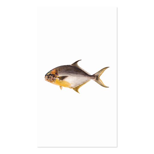 Vintage Pompano Fish - Game Fishes Template Blank Business Card (front side)