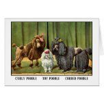 Vintage Poodles cards
