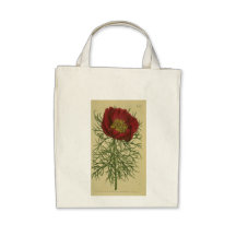 Vintage Poppy Illustration Tote Canvas Bags