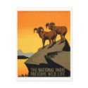 VIntage Preserve Wildlife Poster postcards