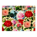 Vintage Pretty Chic Floral Rose Garden Collage Postcard