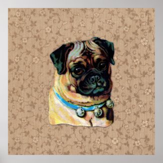 Vintage Pug Dog Print