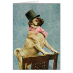 Vintage Pug Dog Stereoview Card