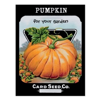 vintage pumpkin seeds art post card