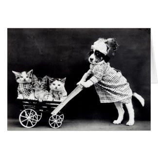 Vintage Puppies and Kittens Note Cards