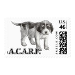 Vintage Puppy Illustration ACARF postage