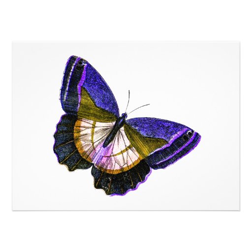 Vintage Purple and Gold Butterfly Illustration Invite