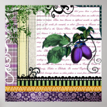 Vintage Purple Plum fruit kitchen art poster