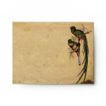 Vintage Quetzal Bird Elegant RSVP Response Envelopes