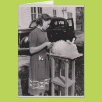 Vintage Rabbit Card cards