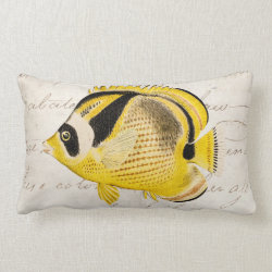 Vintage Raccoon Butterfly Fish - Antique Hawaiian Pillows