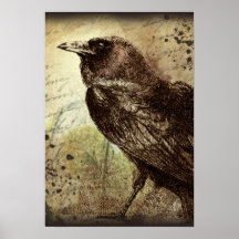 Vintage Raven Canvas Print
