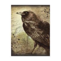 Vintage Raven Postcard