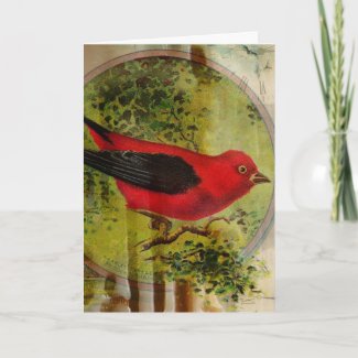 Vintage Red Bird Greeting Cards
