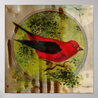 Vintage Red Bird print