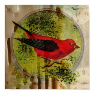 Vintage Red Bird print