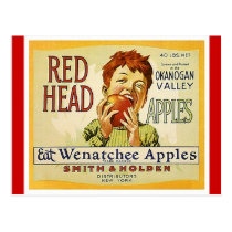 Vintage Red Head Brand Washington Apples Postcards postcards