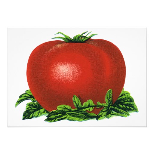 Vintage Red Ripe Tomato, Food Fruits Vegetables Invite