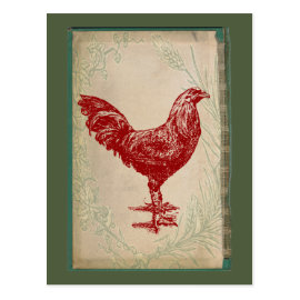 Vintage Red Rooster Shabby Chic Grunge Chicken Post Card