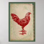 Vintage Red Rooster Shabby Chic Grunge Chicken posters