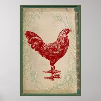 Vintage Red Rooster Shabby Chic Grunge Chicken print