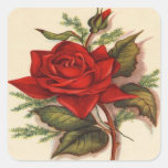 Vintage, Red Rose, Wife Birthday Sticker