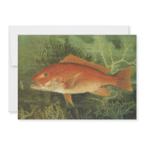 Vintage Red Snapper Fish Under the Ocean Custom Invite