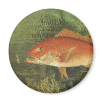 Vintage Red Snapper Fish Under the Ocean Fridge Magnets