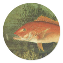 Vintage Red Snapper Fish Under the Ocean Round Sticker