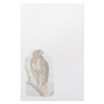 Vintage Red Tailed Hawk Stationery