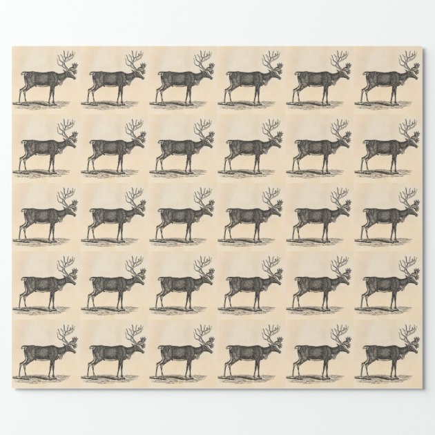 Vintage Reindeer Illustration - 1800's Christmas Wrapping Paper 2/4