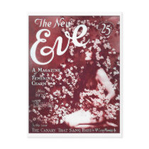 Vintage Retro Women 20s The New Eve Magazine Postcards