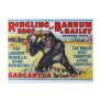 Vintage Ringling Bros Postcard