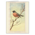 Vintage Robin Card by Customizables Vintage Robin Card