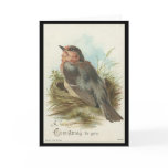 Vintage Robin, Christmas Cards Vintage Robin, Christmas Cards