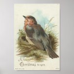 Vintage Robin, Christmas Posters