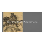 Vintage Robin Profile Card Photo Greeting Card
