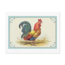 Vintage Rooster Print Post Card