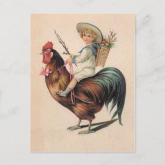 Vintage Rooster Ride postcard
